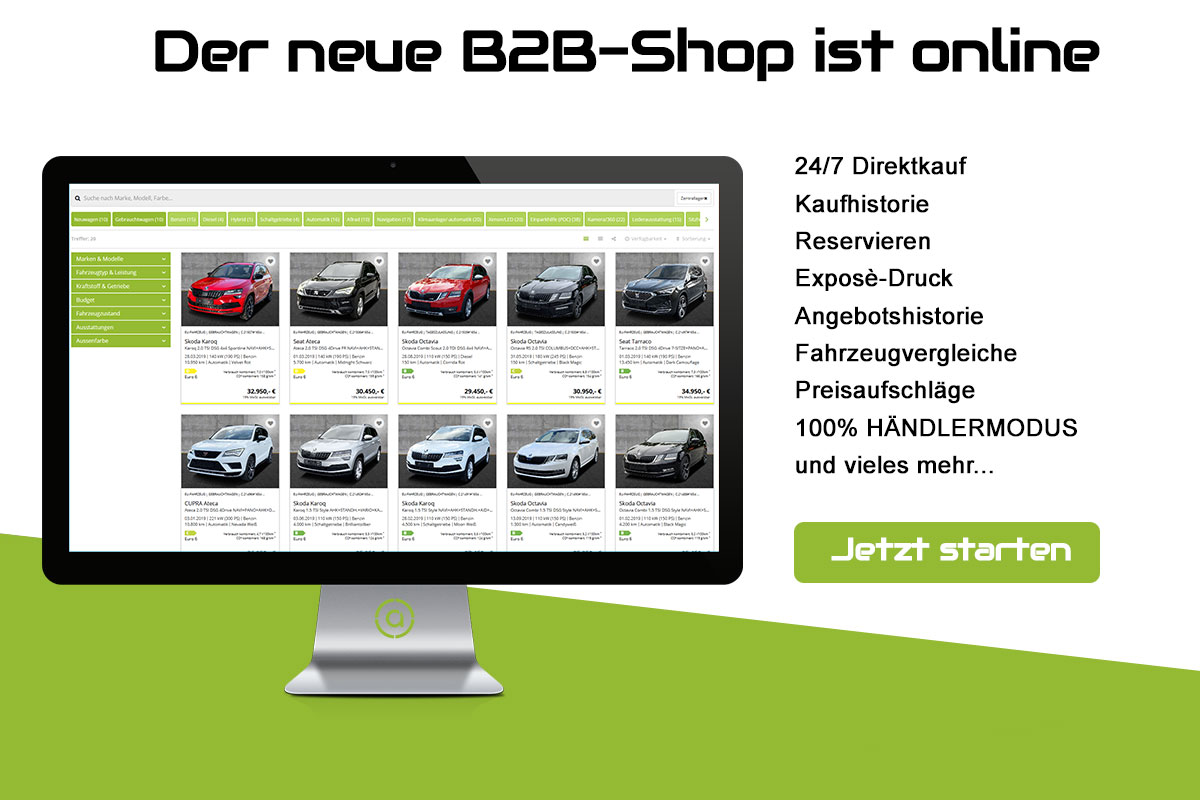 CarConnect 24 AG B2B Shop